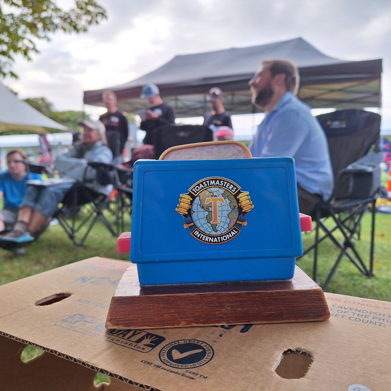 A sky blue plastic toaster with a symbol of Toastmasters International globe, sitting on a banana box lid outside in a park