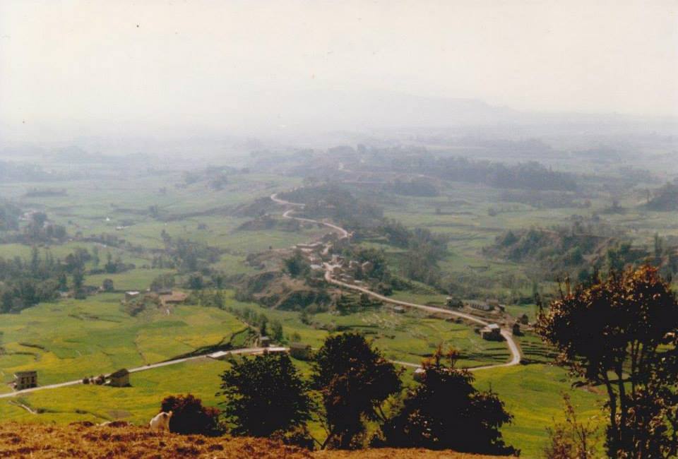 Overlooking a misty valley from the top of a steep hill in a rural lush green edge of the jungle landscape